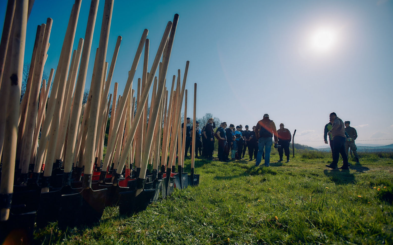 Ministrul Diana Buzoianu (USR): Victorie de etapă – Romsilva reușește să oprească în justiție retrocedarea a 43.000 de hectare de pădure