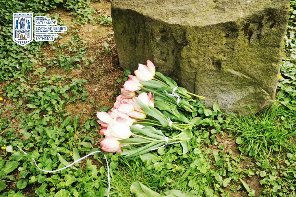 FOTO. Sătmărenii au început să fure florile plantate pe spațiile verzi. Unele ajung chiar la vânzare