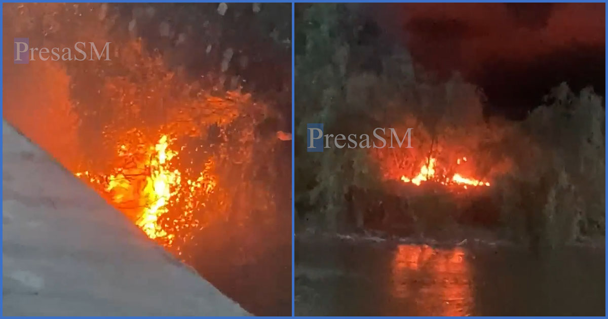 VIDEO. Incendiu sub podul Golescu, de Zilele Orașului. Un individ a scăpat ”grătarul” de sub control