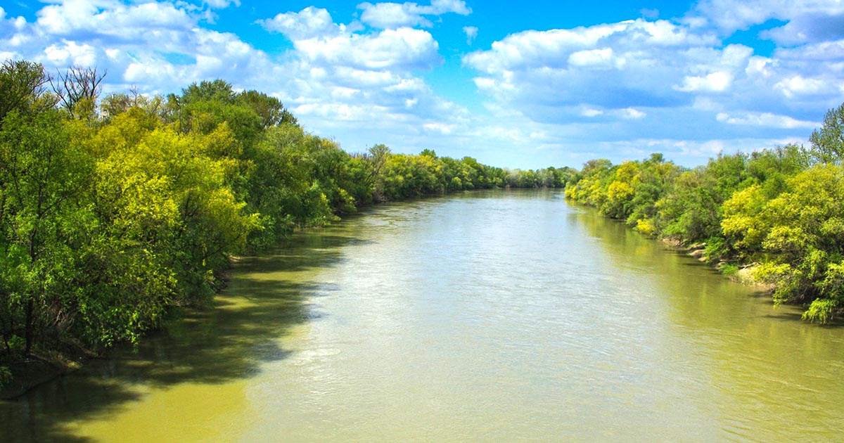 FOTO. Malurile Someșului, plămânii verzi ai orașului, merită protejate. Ar putea deveni arie naturală urbană