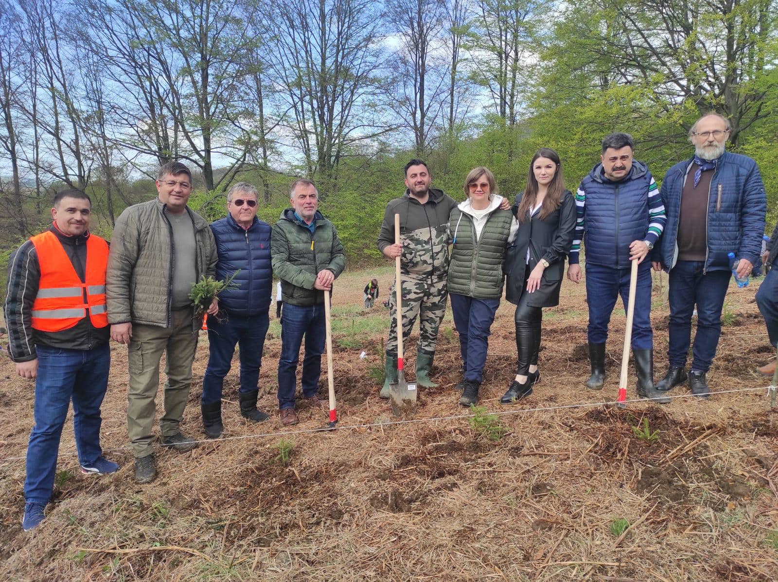 PSD Satu Mare a participat la plantarea a mii de copaci în județ