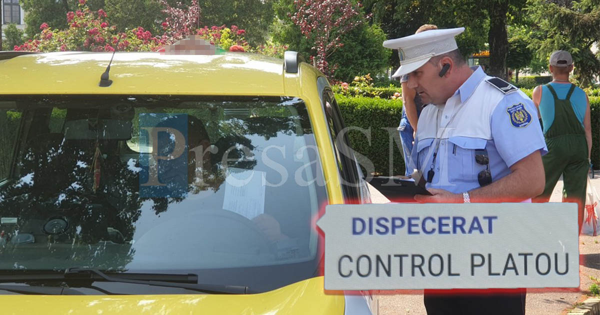 FOTO. Taximetriștii din Satu Mare, luați la puricat de Poliția Locală. Controale de dimineață