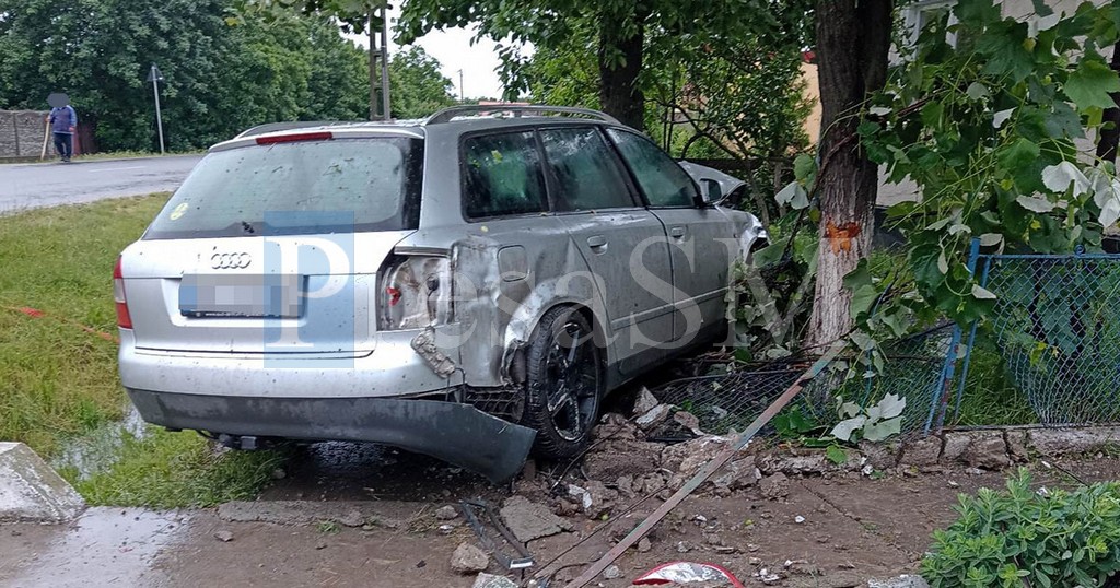 FOTO. O șoferiță începătoare a spulberat un gard și s-a oprit într-un copac, în județul Satu Mare