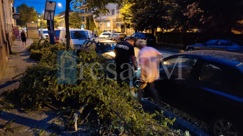 FOTO/VIDEO.Vijelia a doborât mai mulți copaci în municipiul Satu Mare. Intervin pompierii