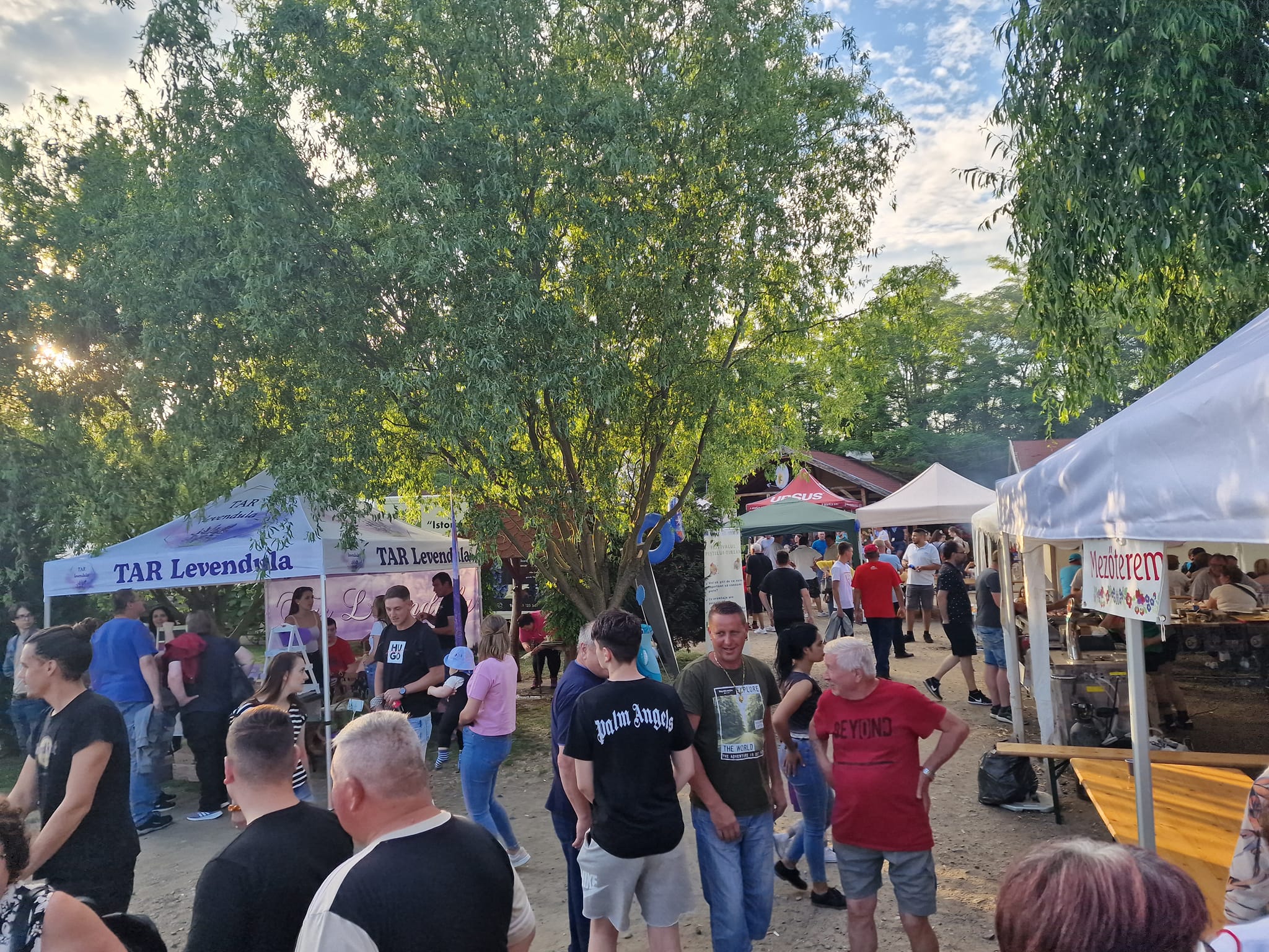 Voie bună și atmosferă familială la prima ediție a Festivalului Peștelui din Tiream