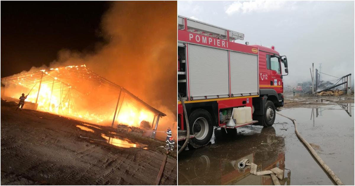 FOTO/VIDEO. Incendiu de amploare la o fermă din județul Satu Mare. Zeci de animale în pericol