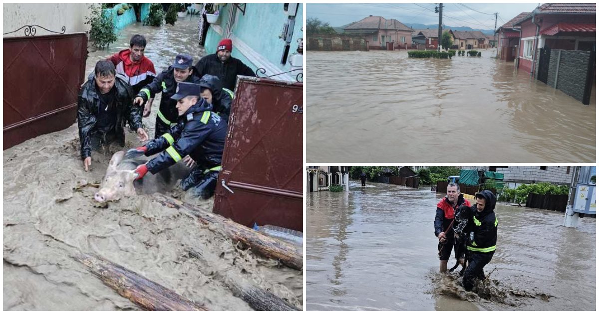 FOTO/VIDEO. Codul roșu a făcut prăpăd în țară. Oamenii, disperați să își salveze agoniseala și animalele