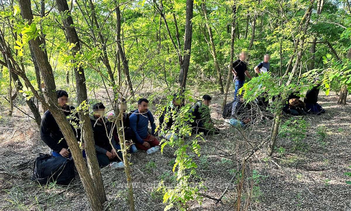 FOTO. 12 bărbați prinși într-o pădure din județul Satu Mare. Se pregăteau de un mic ”exod”