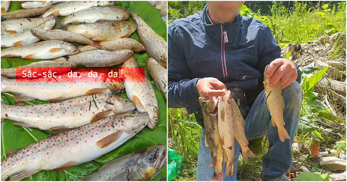 FOTO. A vrut să demonstreze că nu spune povești pescărești și s-a lăudat pe Facebook. S-a trezit cu Garda de Mediu la ușă