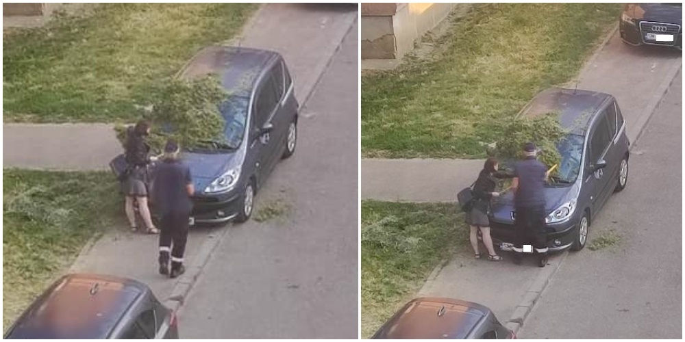 FOTO. Răzbunare verde în Satu Mare. A blocat trotuarul, mașina i-a fost acoperită cu iarbă