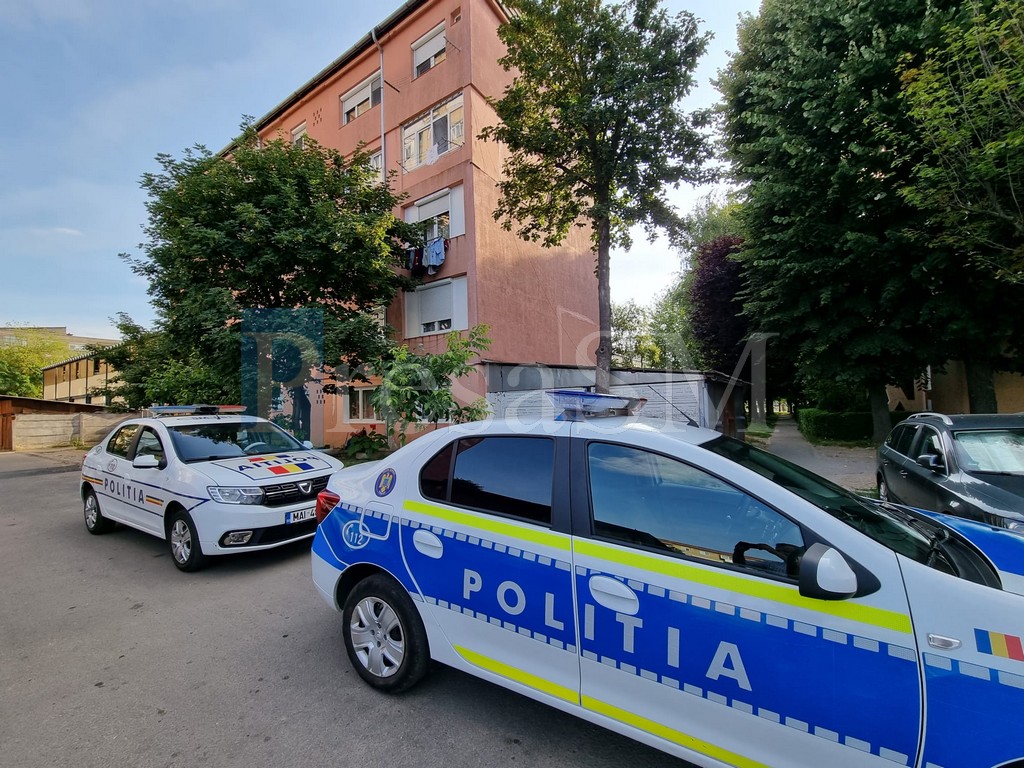 Sătmăreancă amenințată că îi va fi răpit copilul. Atacată în propria locuință, agresorul a amenințat că se va autovătăma