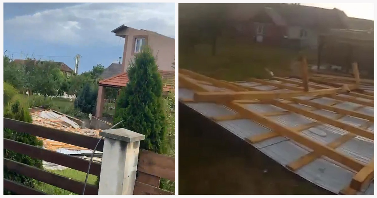 VIDEO. Bilanț în urma Codului Roșu la Satu Mare: Copaci căzuți la Tășnad, acoperișuri smulse de vânt în alte două localități