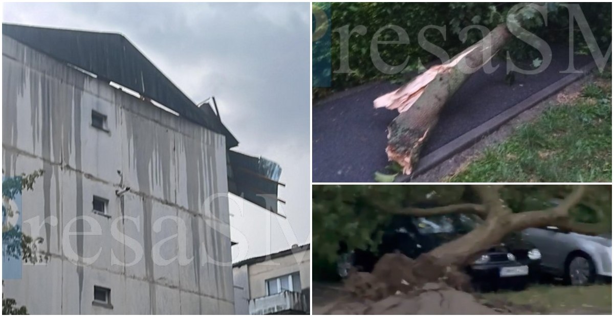 FOTO/VIDEO. Furtuna a făcut prăpăd prin Satu Mare. Blocuri decopertate, copaci peste mașini