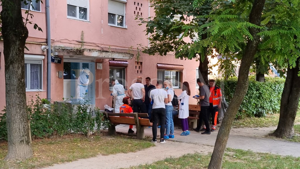 FOTO/VIDEO. Criminalul din Satu Mare a fost prins! Cine i-a tăiat gâtul Luminiței, în apartamentul din Micro 14