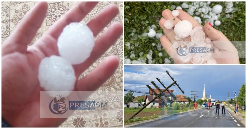 BILANȚUL DEZASTRELOR în județul Satu Mare. Grindina și furtunile au distrus mii de hectare de culturi agricole