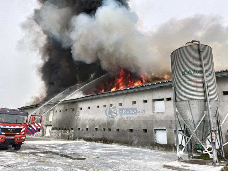 FOTO. Incendiu de amploare la o fermă de pui, de la limita județului Satu Mare