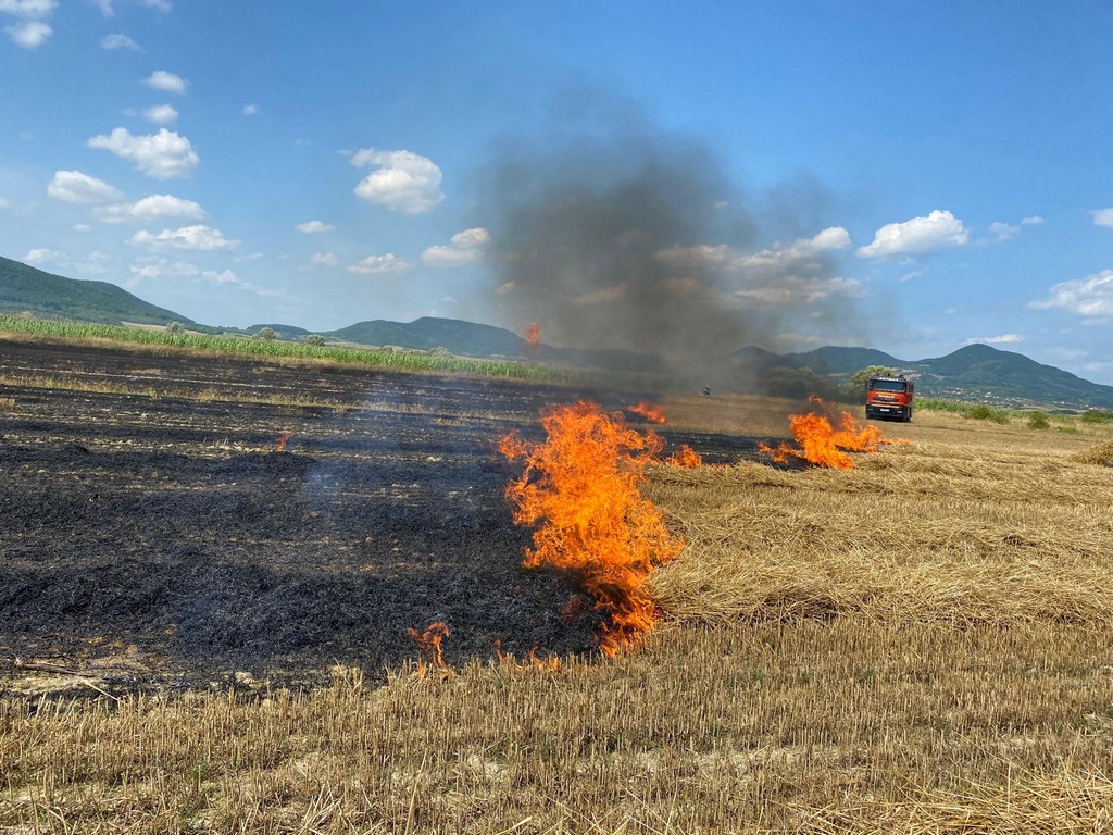 ÎN SFÂRȘIT! Sătmăreni prinși și amendați după ce au provocat incendii de vegetație
