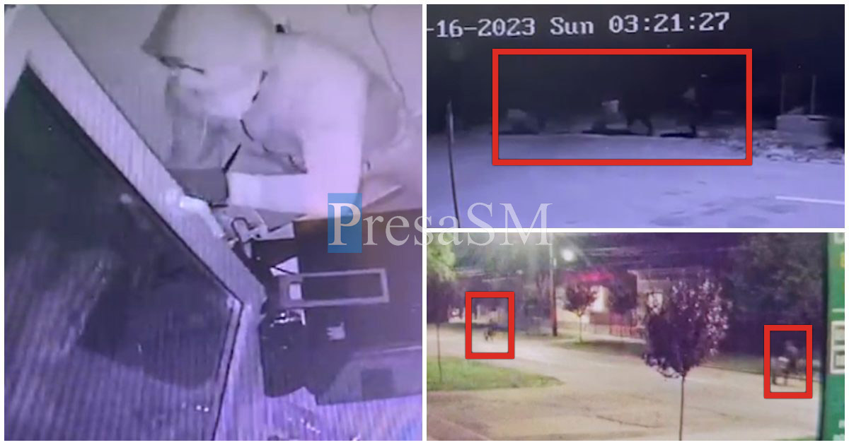 VIDEO. Așa ceva?! Țigări furate de trei indivizi și transportate cu roabele prin Carei