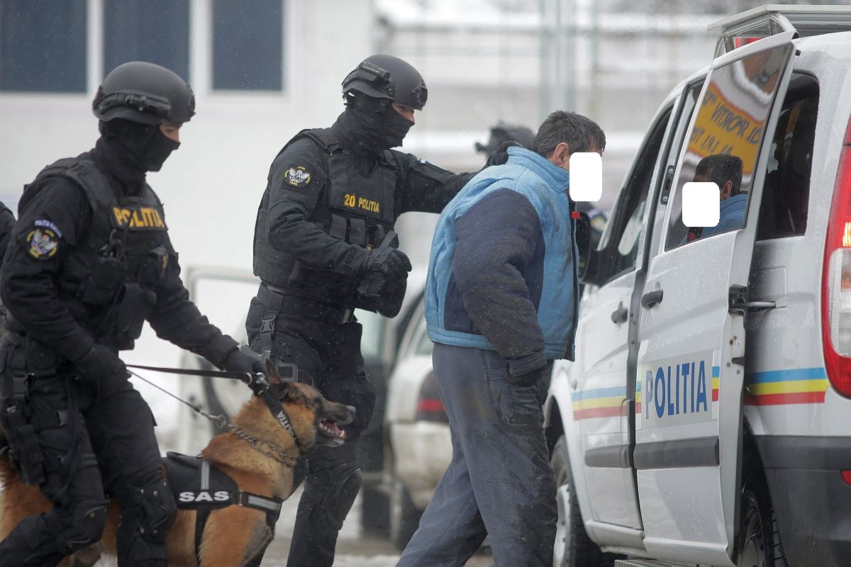 Intervenție spectaculoasă a mascaților, în Oaș! Câinele de luptă a imobilizat un cuțitar  periculos