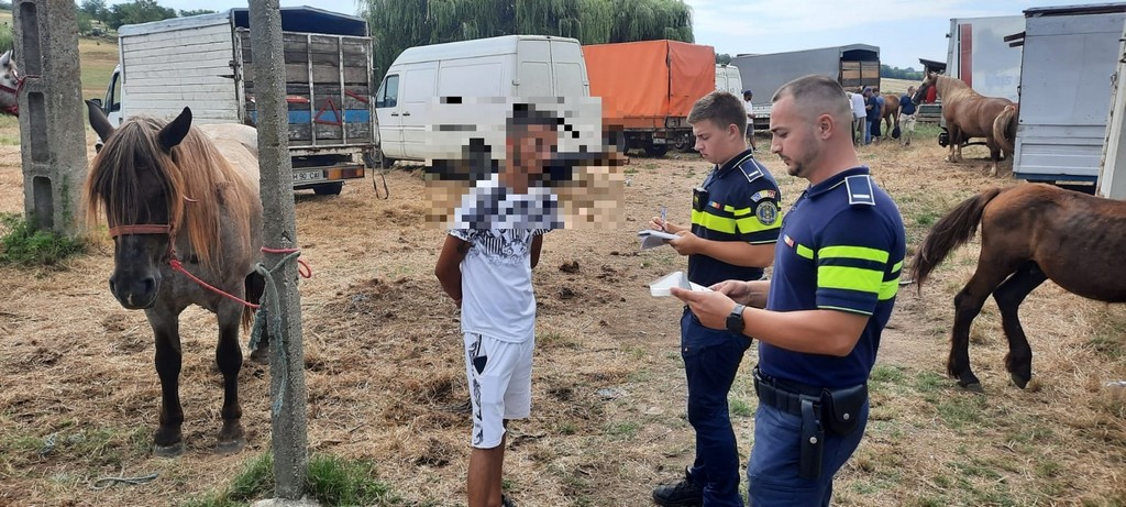 Razie a polițiștilor la un târg de animale din județ. Oamenii legii au aplicat peste 60 de amenzi