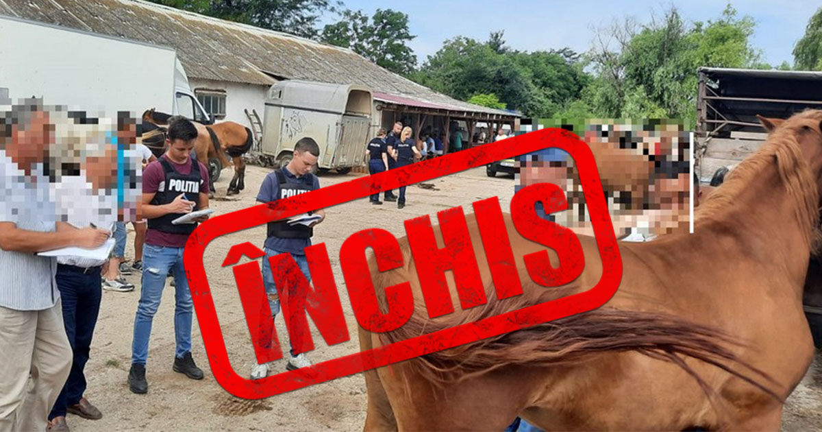 FOTO. Târg de animale din județul Satu Mare, închis. S-au dat amenzi de mii de lei