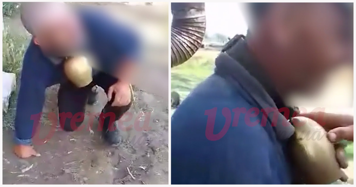 Imagini halucinante într-un județ din țară. Un consilier PSD a umilit un cioban. I-a legat talanga-n gât și l-a pus să facă ca berbecul