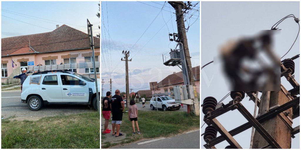 FOTO/VIDEO. Mii de sătmăreni au rămas fără curent. Mai multe berze au fost electrocutate