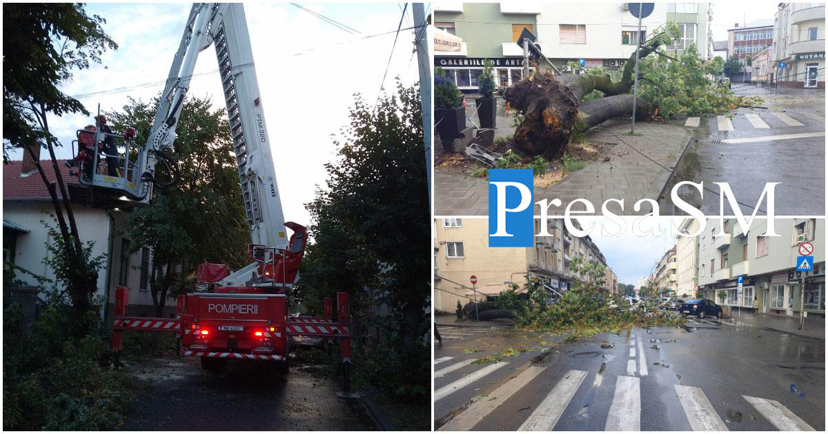 FOTO/VIDEO. Bilanțul furtunii la Satu Mare: Șase copaci căzuți, trei mașini avariate, străzi blocate