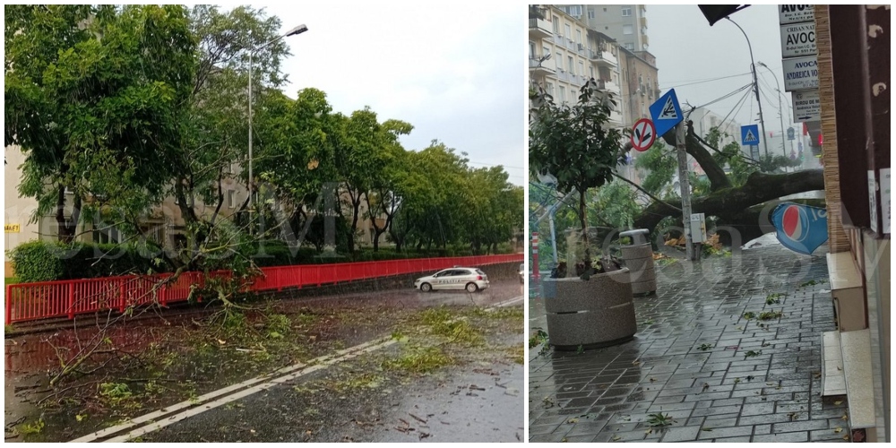 FOTO/VIDEO. Vreme severă, copaci rupți și mai multe străzi blocate în Satu Mare!