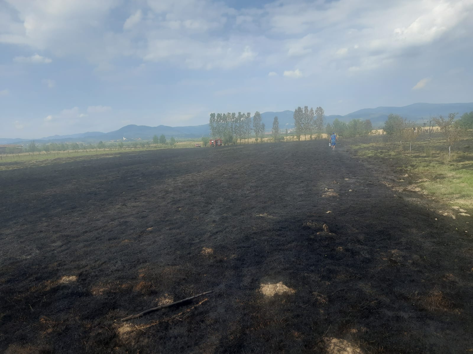 FOTO/VIDEO. Incendii de vegetație la Satu Mare. Cabane amenințate de flăcări. Pompierii trag un semnal de alarmă