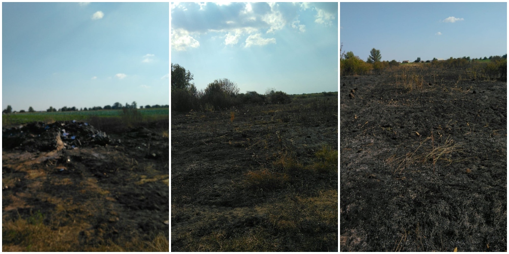 FOTO. Inconștiență totală! Pe caniculă, niște sătmăreni au dat foc vegetației! Hectare întregi făcute scrum