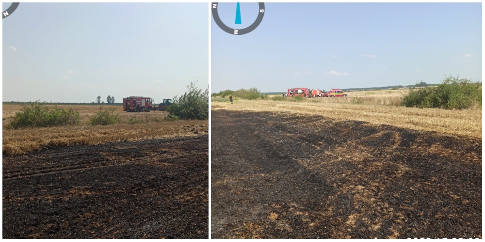 VIDEO. Mobilizare. Zeci de pompieri sătmăreni se luptă cu un incendiu de vegetație. Culturi agricole în flăcări