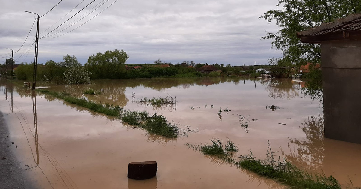 Pericol de inundații la Satu Mare, din cauza ploilor abundente. Cod portocaliu și Cod galben emis de hidrologi