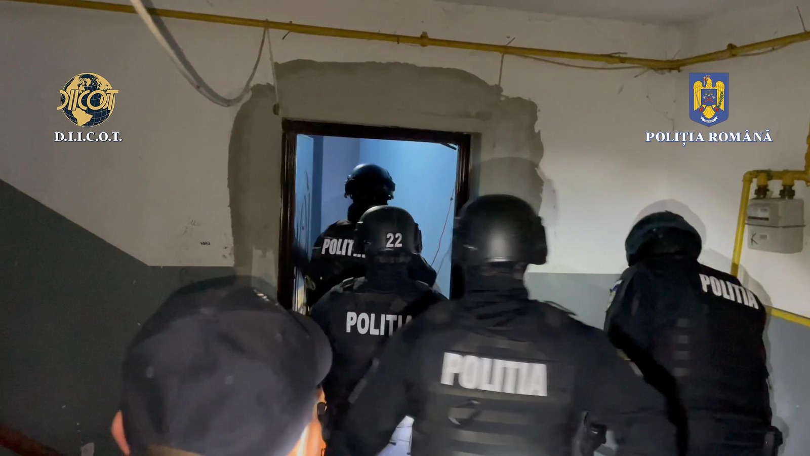 FOTO. Trei sătmăreni săltați de DIICOT pentru trafic de droguri ajung după gratii