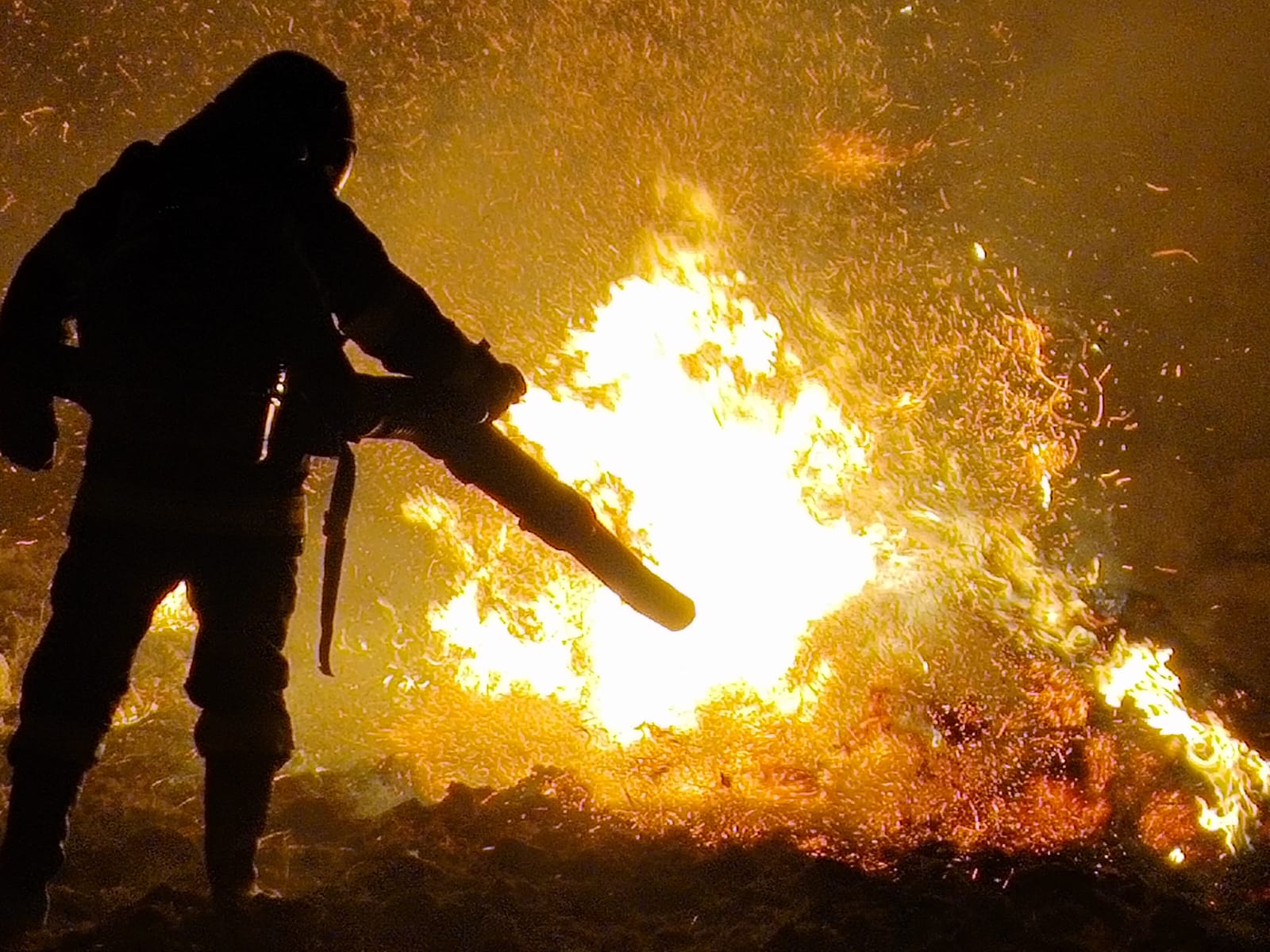 FOTO. Incendiu de amploare în județul Satu Mare. Hectare întregi făcute scrum