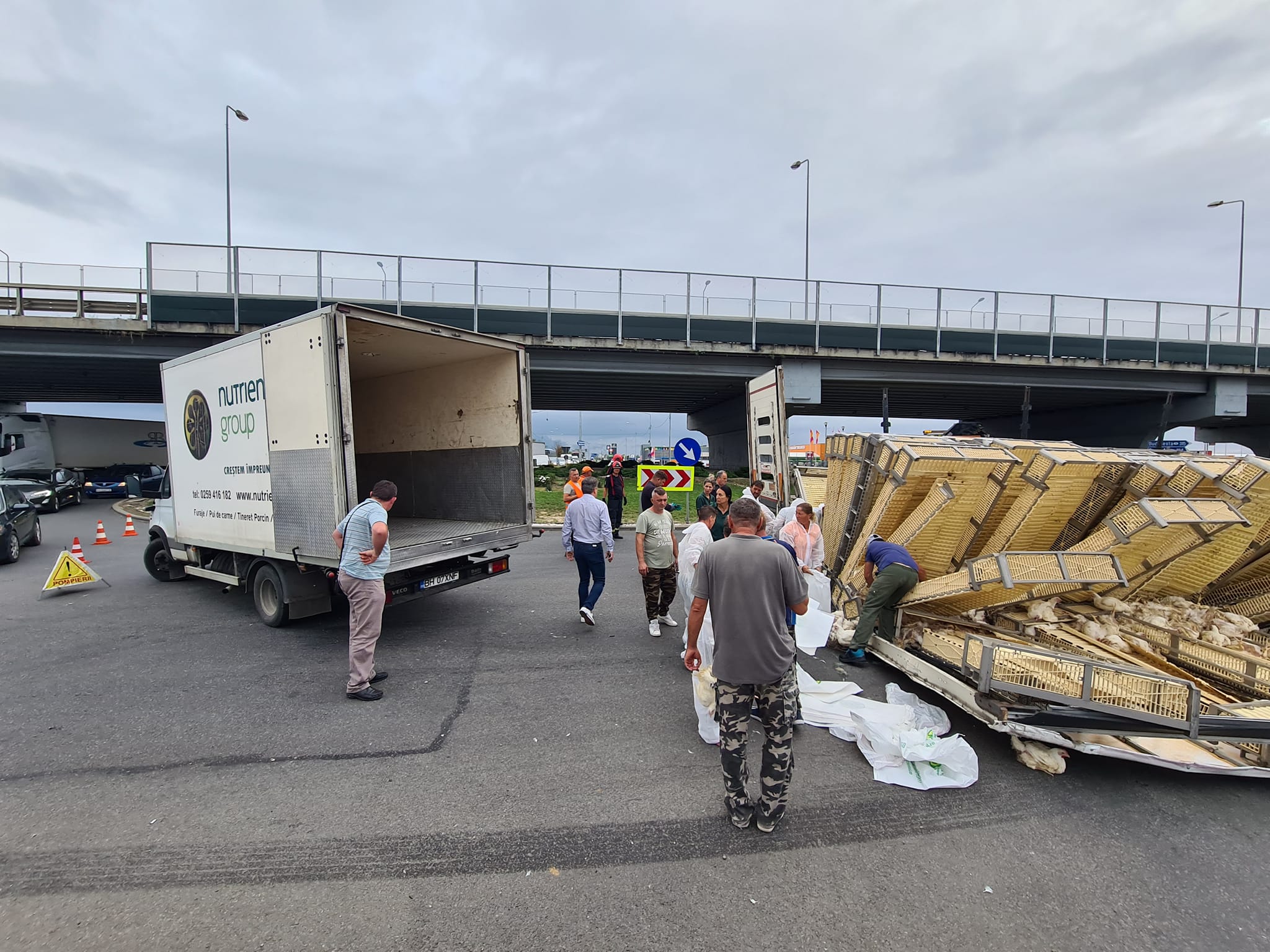 FOTO/VIDEO. Imagini dezolante pe o șosea din județul vecin. Un TIR plin cu pui vii s-a răsturnat pe drum