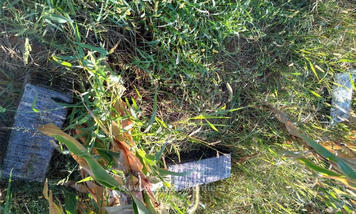 FOTO. Contrabandă cu drona la Turț. Tânăr ucrainean, reținut