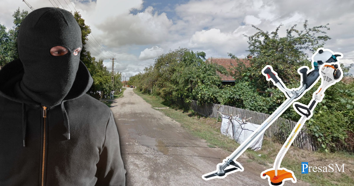 Doi sătmăreni, arestați preventiv. Au sărit gardul și au plecat cu ce au găsit în anexă