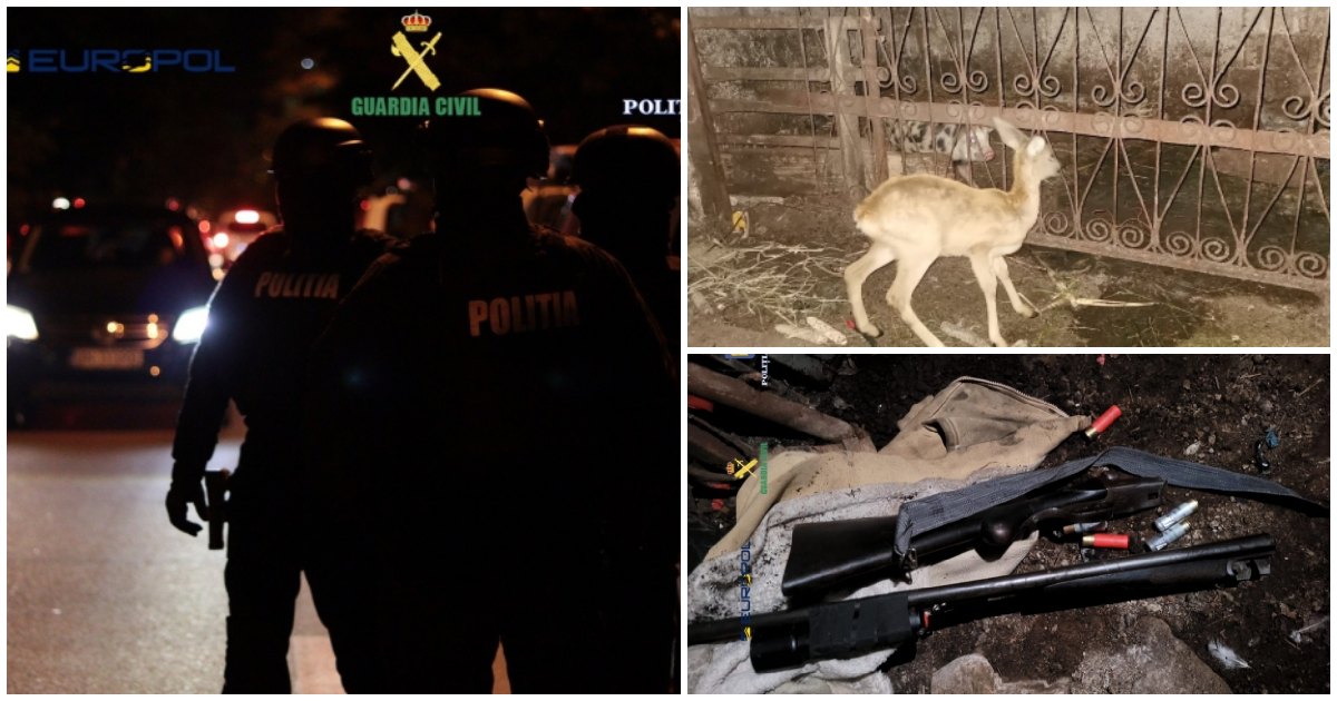 FOTO/VIDEO. Patru arestați, alți 3 la domiciliu, în urma perchezițiilor la care au participat mascații sătmăreni. S-au găsit arme letale