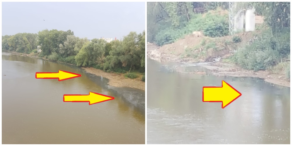 FOTO. Cantități mari de reziduri deversate în Someș, în municipiul Satu Mare