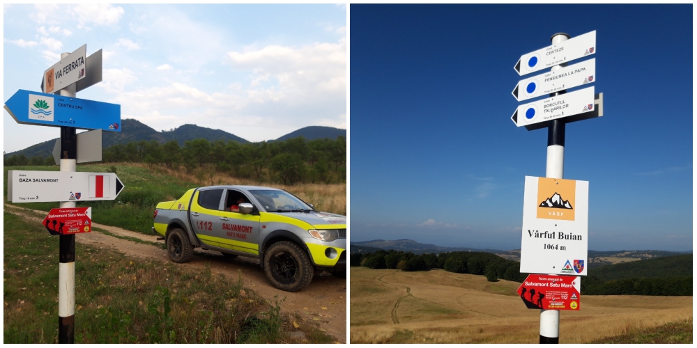 ATENȚIE. ”Homo porcius cocalarus”, un animal foarte dăunător, depistat în Munții Oașului!