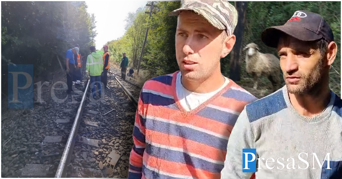 FOTO/VIDEO. Jale în Satu Mare! Cum au ajuns oile pe calea ferată. Care sunt primele explicații