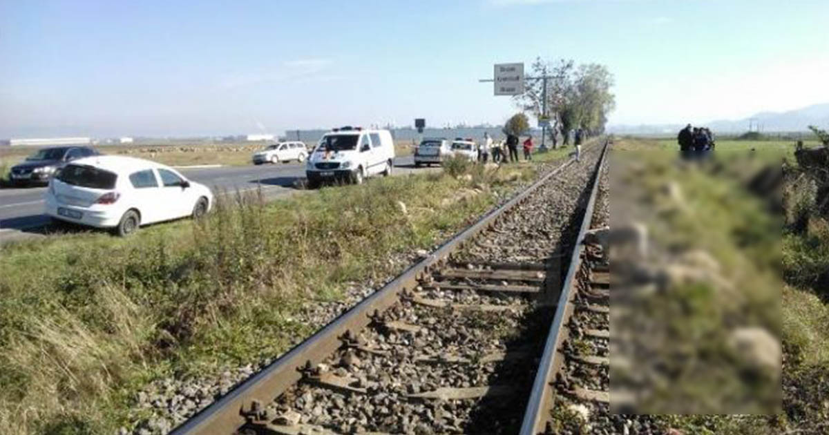 Ce spun polițiștii sătmăreni despre turma de oi spulberată de tren. Majoritatea animalelor au murit în urma impactului