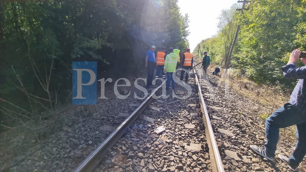 FOTO/VIDEO. MĂCEL. Peste 140 de oi spulberate de locomotiva unui tren, în județul Satu Mare