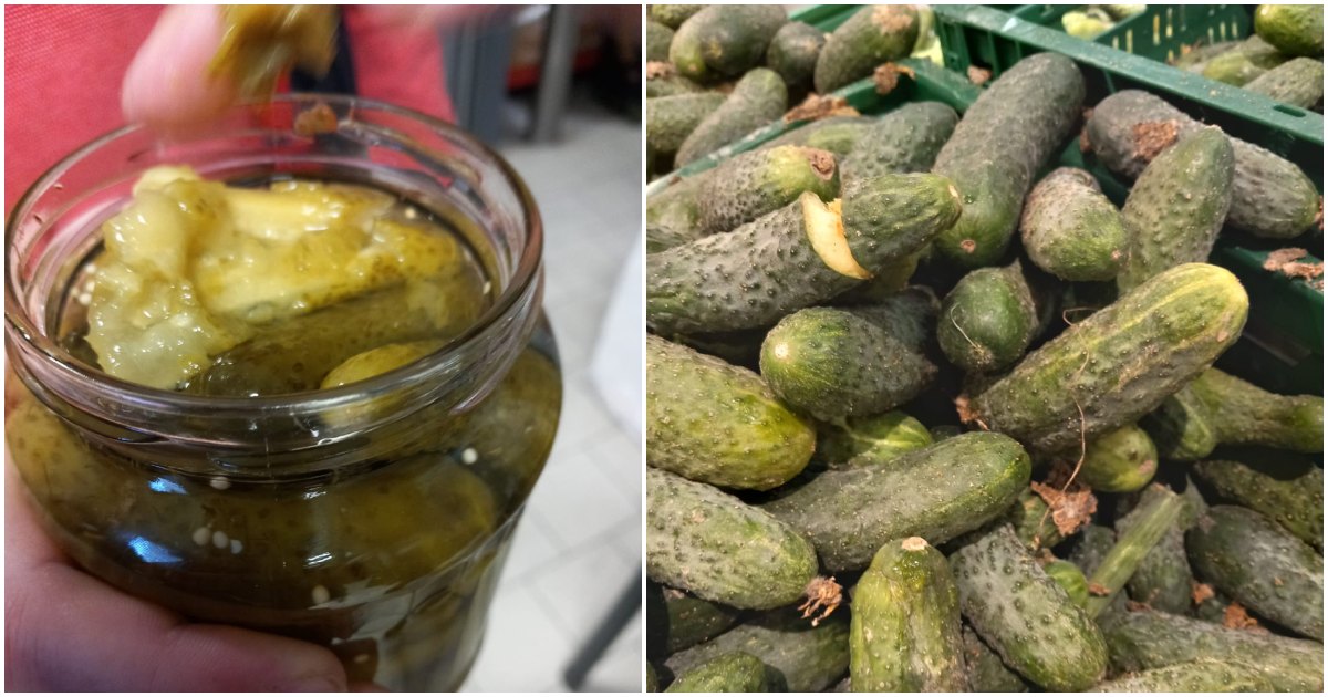 FOTO. Comisarii OPC Satu Mare, cu ochii pe castraveții de la Kaufland. Amendă de zeci de mii de lei