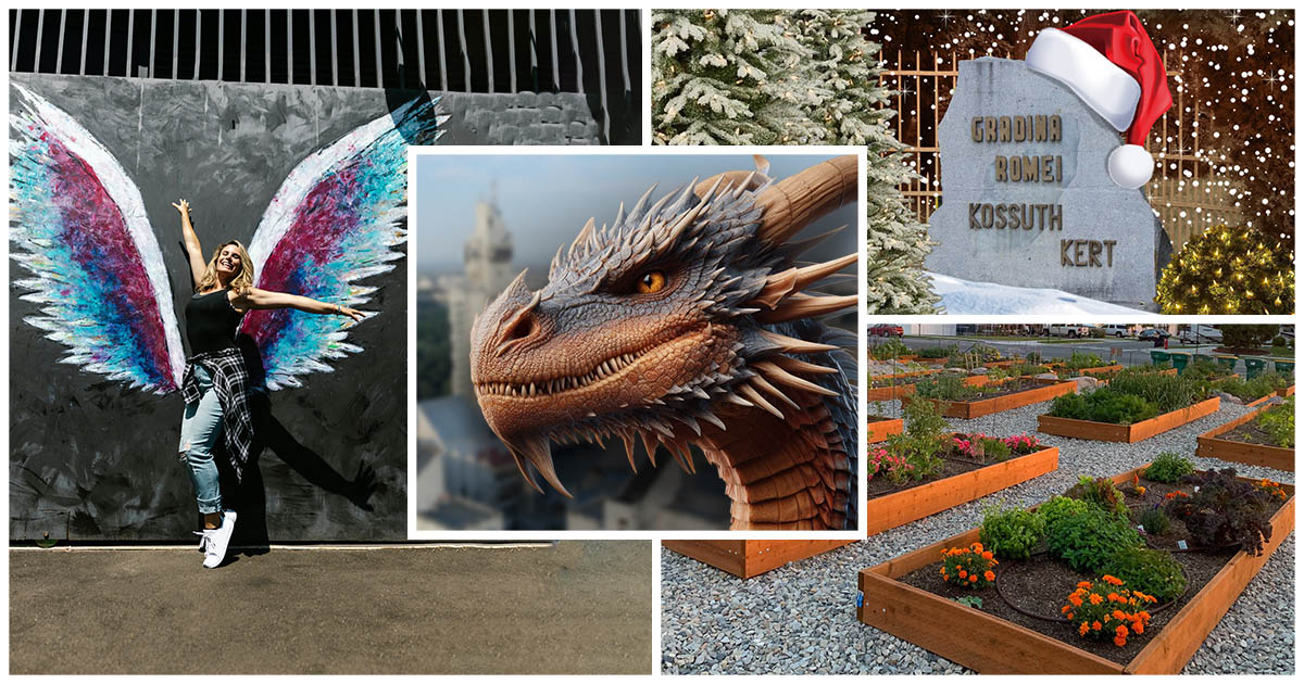 Ce proiecte vor tinerii la Satu Mare: Chill zone, Crăciun în Grădina Romei, party cu muzică și D&D roleplay