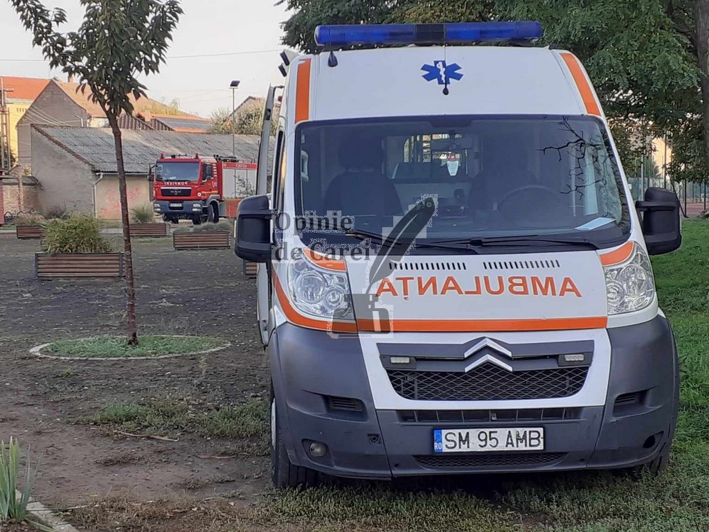 FOTO. Descoperirea DRAMATICĂ în Parcul Castelului din municipiul Carei