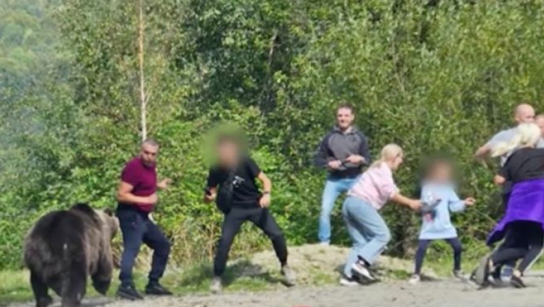 FOTO. Turiști inconștienți. Și-au luat copiii de mână să facă poze la urs. Au fost la un pas de tragedie