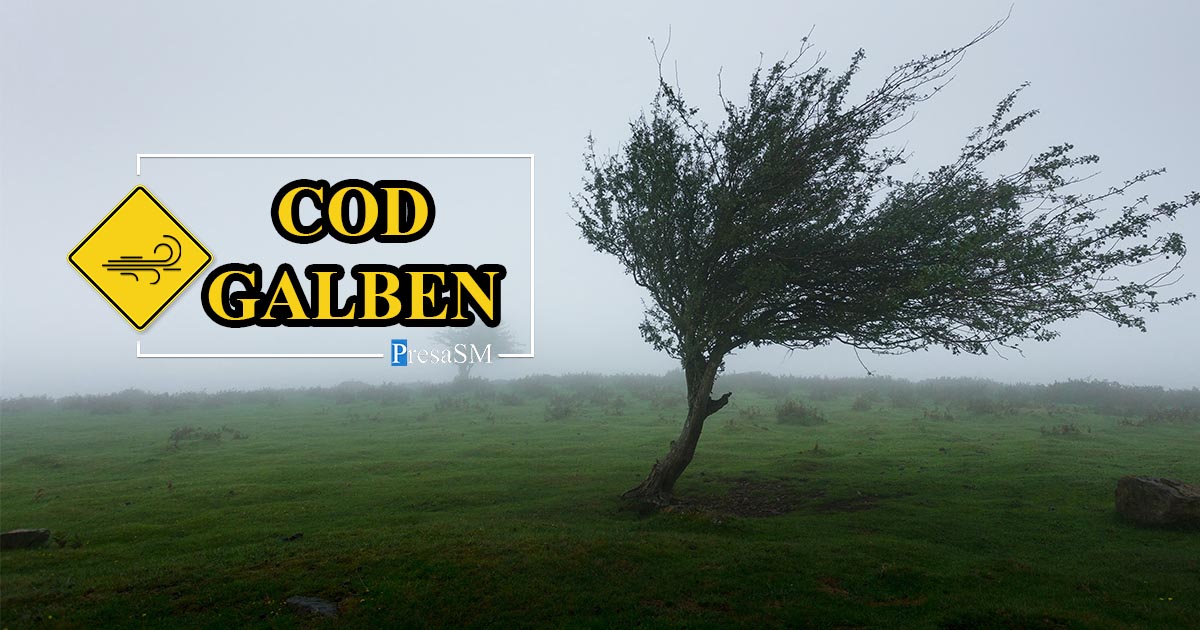 Cod galben de vânt puternic în județul Satu Mare. Când expiră avertizarea meteo