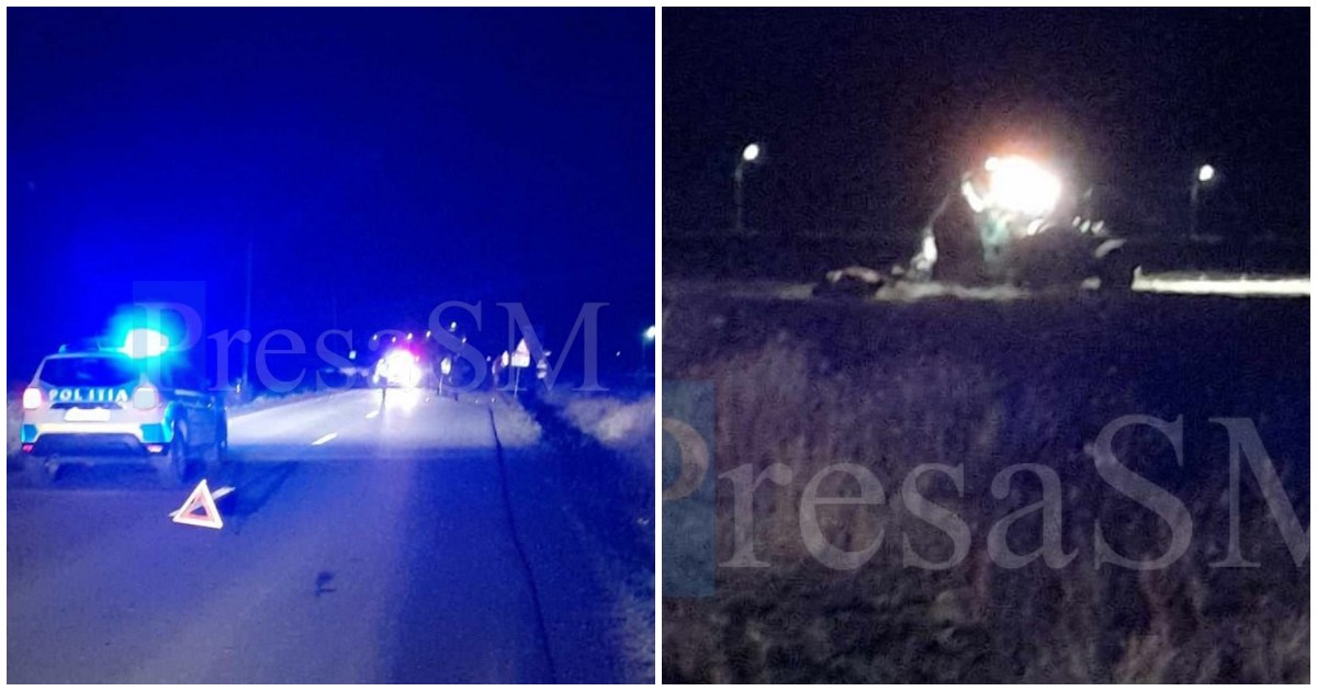 FOTO. Cal mort, tânăr la Urgență. Un șofer nu a mai putut evita impactul cu animalul